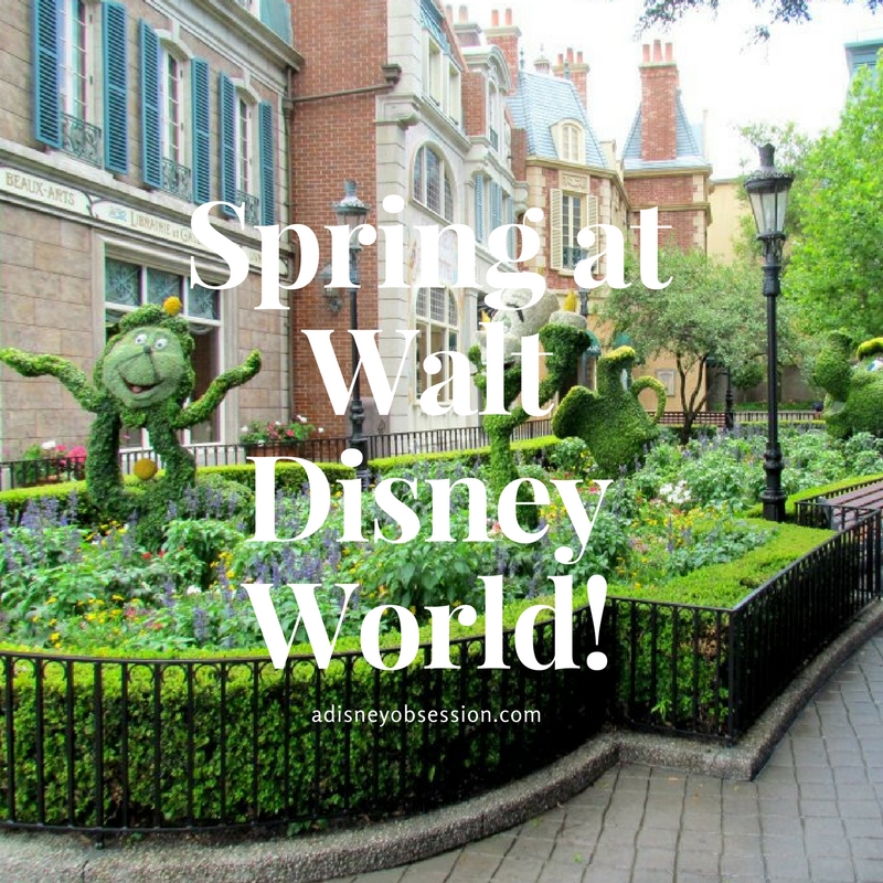 Spring at Walt Disney World! A Disney Obsession