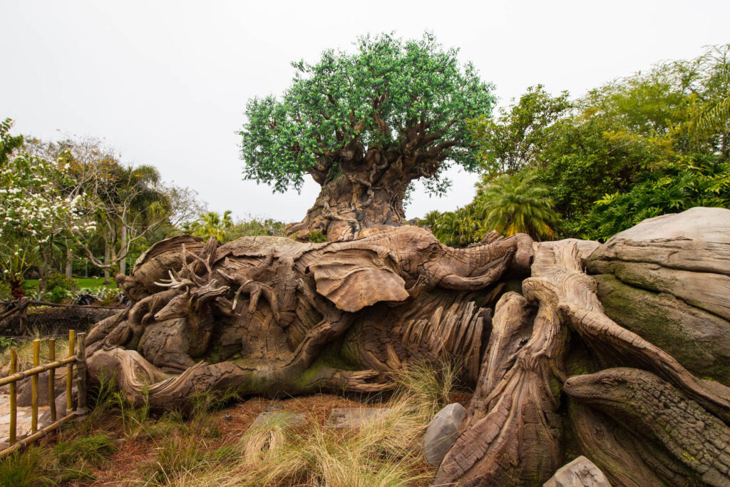 Not to miss at Walt Disney World for first timers