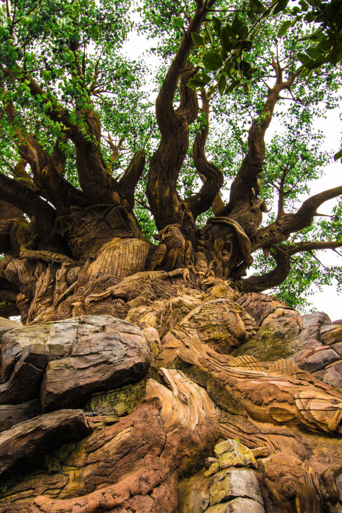 You'll get up close with the Tree of Life!