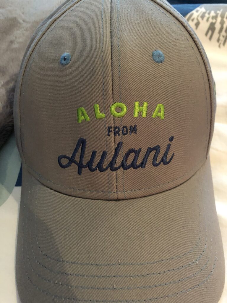 disneymoon haul, haul, disney haul, a disney obsession, disneyland, aulani, aulani resort, disney trip haul